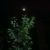 shahikhan8034