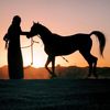 naif_41_