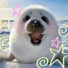 teddy_cutiiii