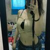 xnxy_lia
