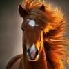 ali.jaber00