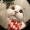 rhtjthegebrhe