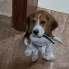 ignacio_nachito123