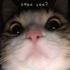 dhe_kiwkiw24