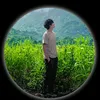vthuy314
