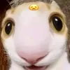ussicijwndnndic