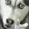 kuri0o1