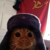 comrade_doggo23
