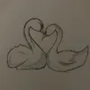 not_mina_1