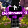 dedinsase_q1