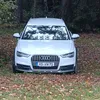 andreasschart565