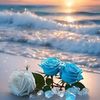 enassh296