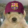 yoel_3.0