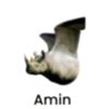 aminzynnn