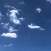 iaffio0038