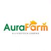 aura_farm10