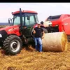 agrofenoms