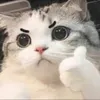 naunongne