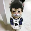 gattusso_ofc