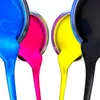pintatudo37