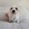 mia.and.the.family