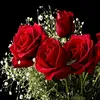aishahali2866