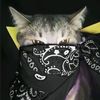 iblis_maniezz2