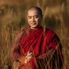 TRÍ TUỆ - TỈNH THỨC 🪷
