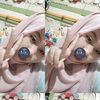 lipiyaacc0ml