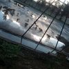 da_niel_69