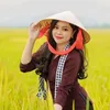 senle9525