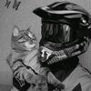 ahmadkayed758