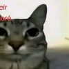 tuntunzahur1