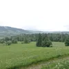 www.poland