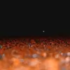 rfc_311