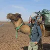 nabilchougan6