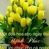 user8800461586363