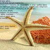 userb7xdh2x8u7
