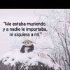 miguelalbertogarc6