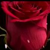 aaeasa0eab55555
