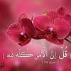 userup3ay4eppy