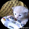 nicolasf43