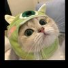maymahmoud274