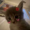 ntpa_hi