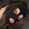lthl_309