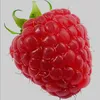 himbeere32