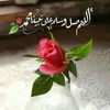user2318293625308