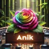 anikinjapan