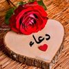 omomar4560