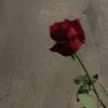 user4672234061719